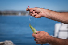 Load image into Gallery viewer, The Knot Kneedle® – More Time Fishing, Less Time Tying! - The Knot Kneedle
